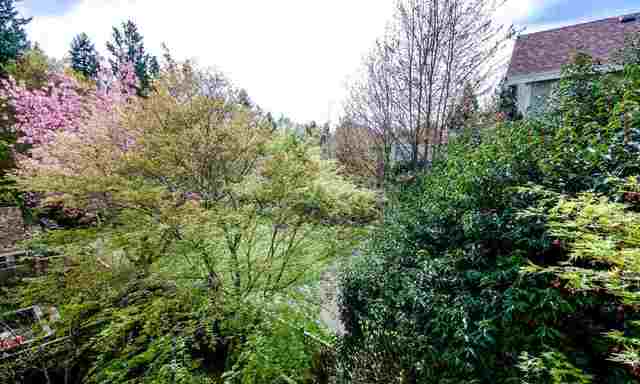 304-9668 148 Street, Surrey, BC 16