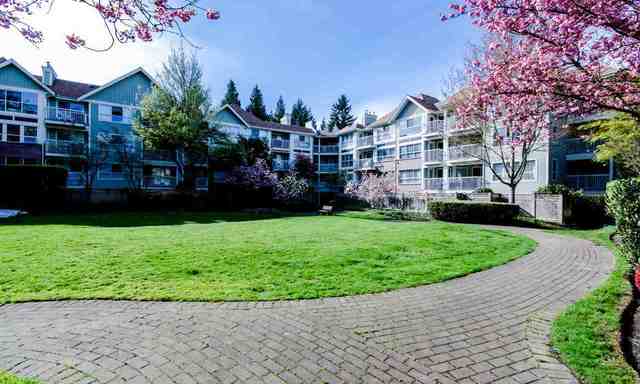 304-9668 148 Street, Surrey, BC 17