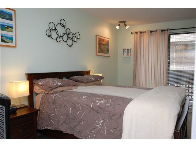 204-110 Seventh Avenue, New Westminster 7
