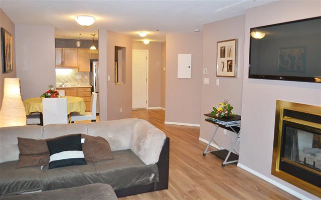 207-2335 Whyte Avenue, Port Coquitlam, BC 3