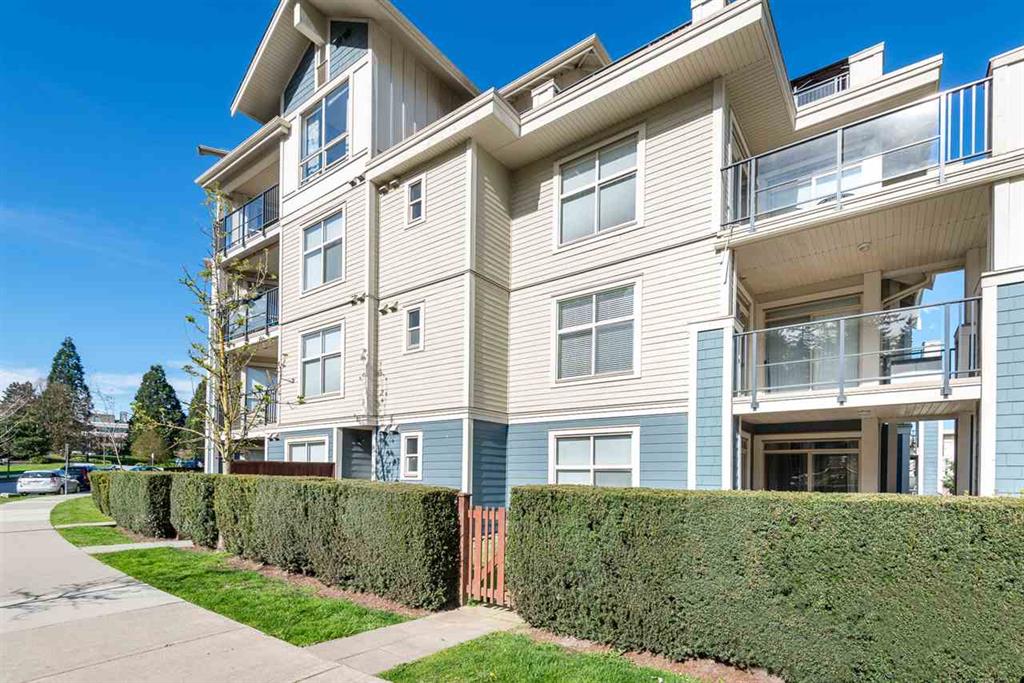 208-285 Ross Driver, New Westminster, BC 18