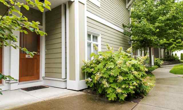 41-7388 Macpherson Avenue, Burnaby, BC 14