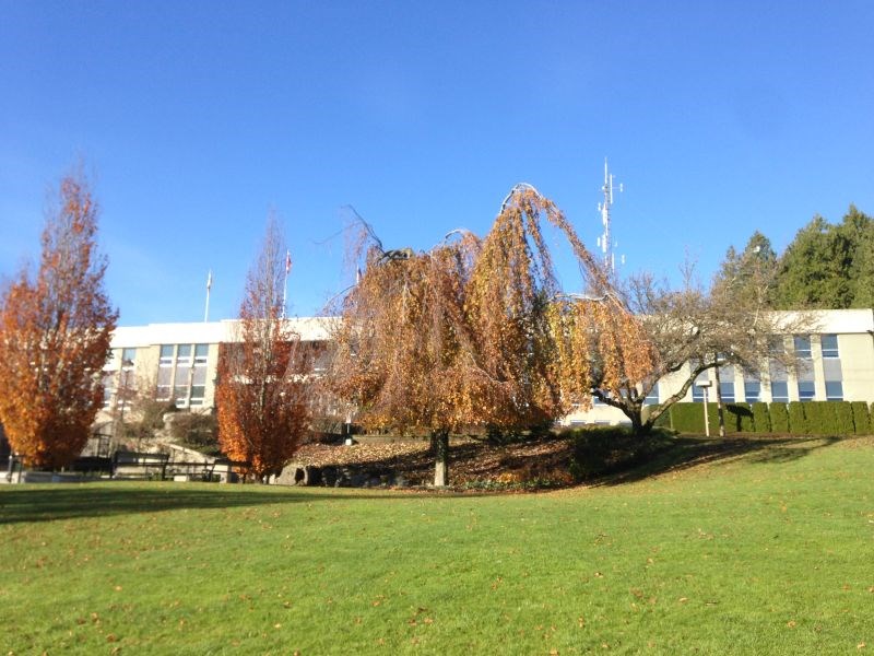 209-410 Agnes Street, New Westminster 3