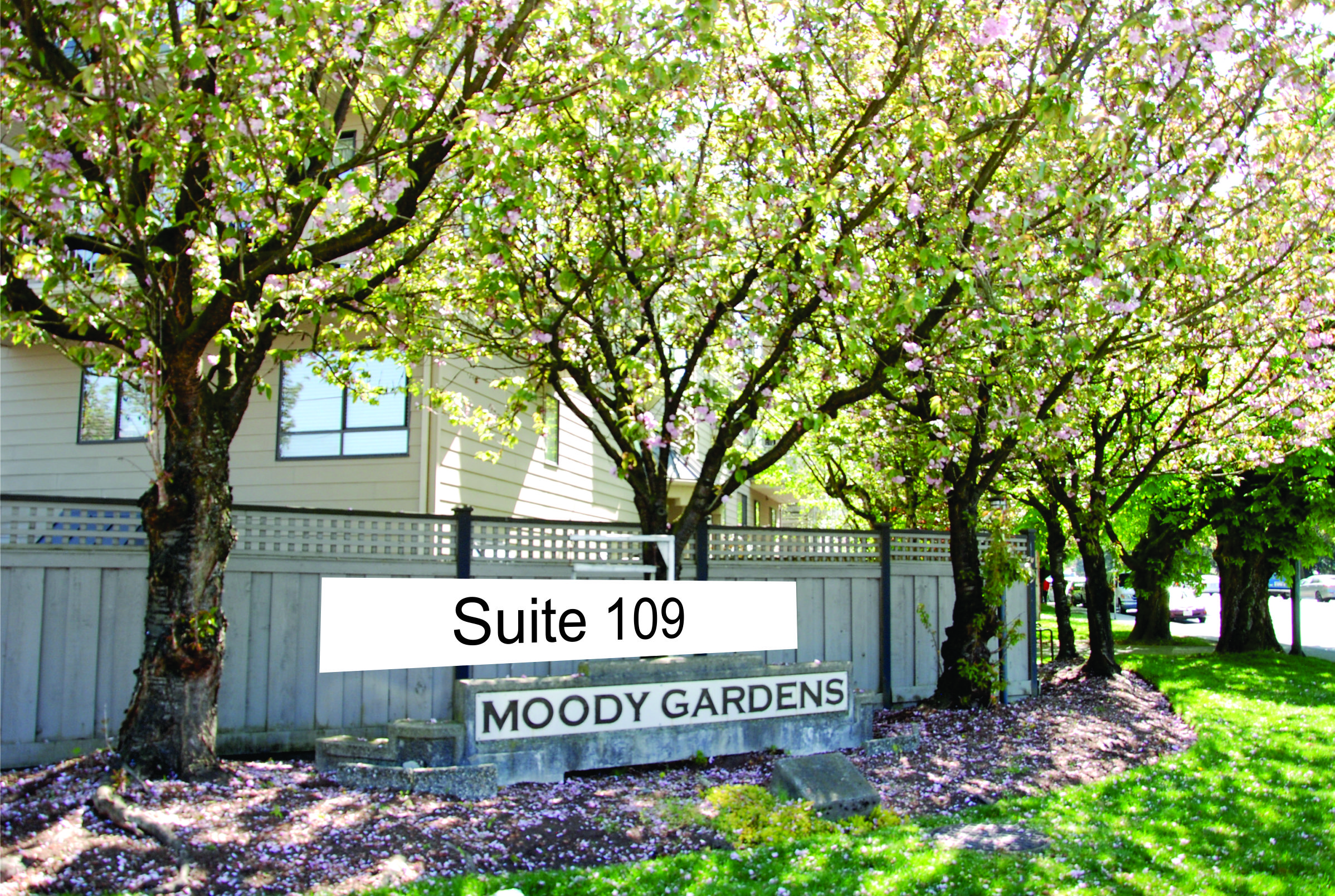 109-777 Eighth Street, New Westminster, BC 17