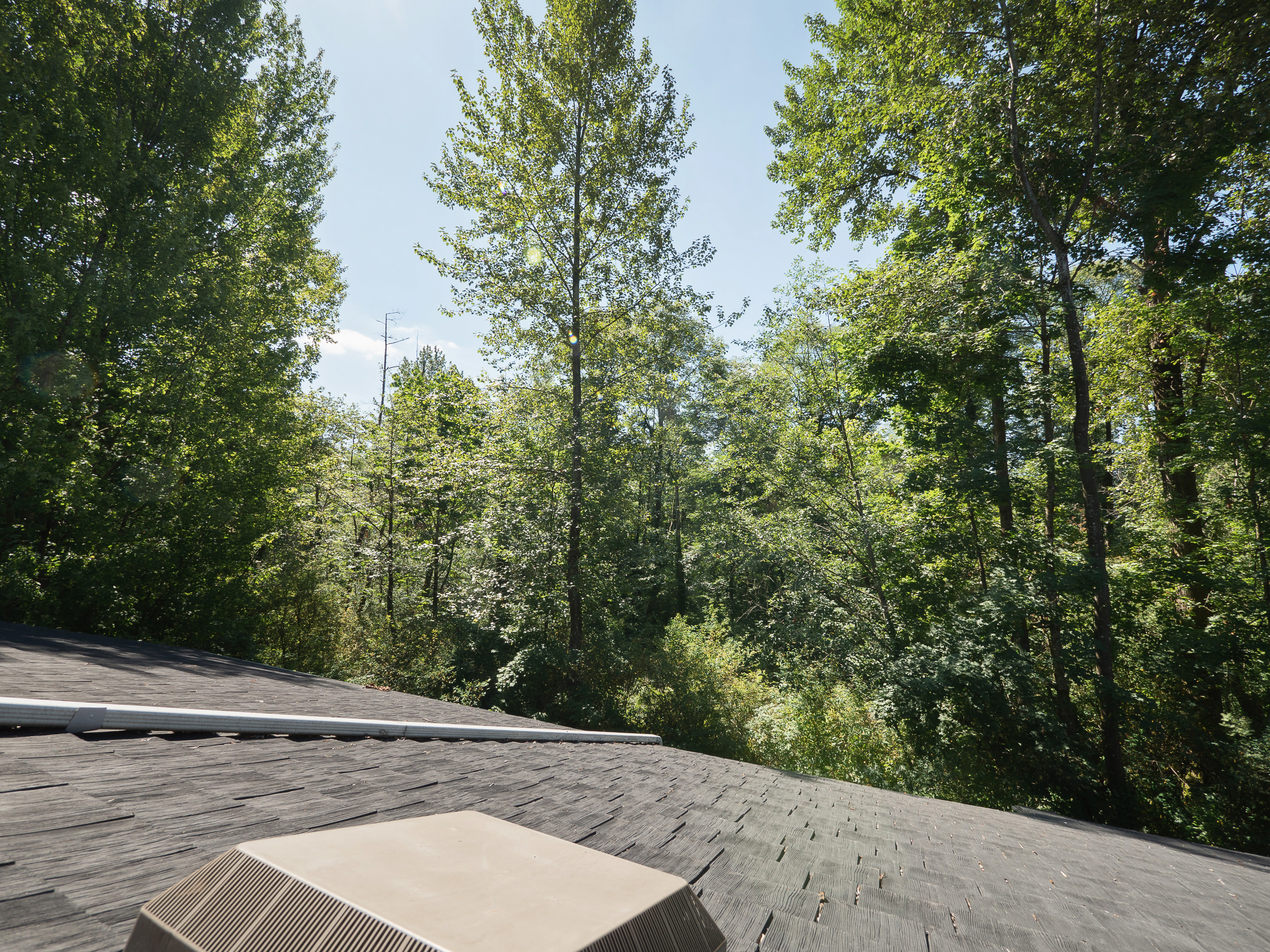 8240 Amberwood Place Burnaby 25