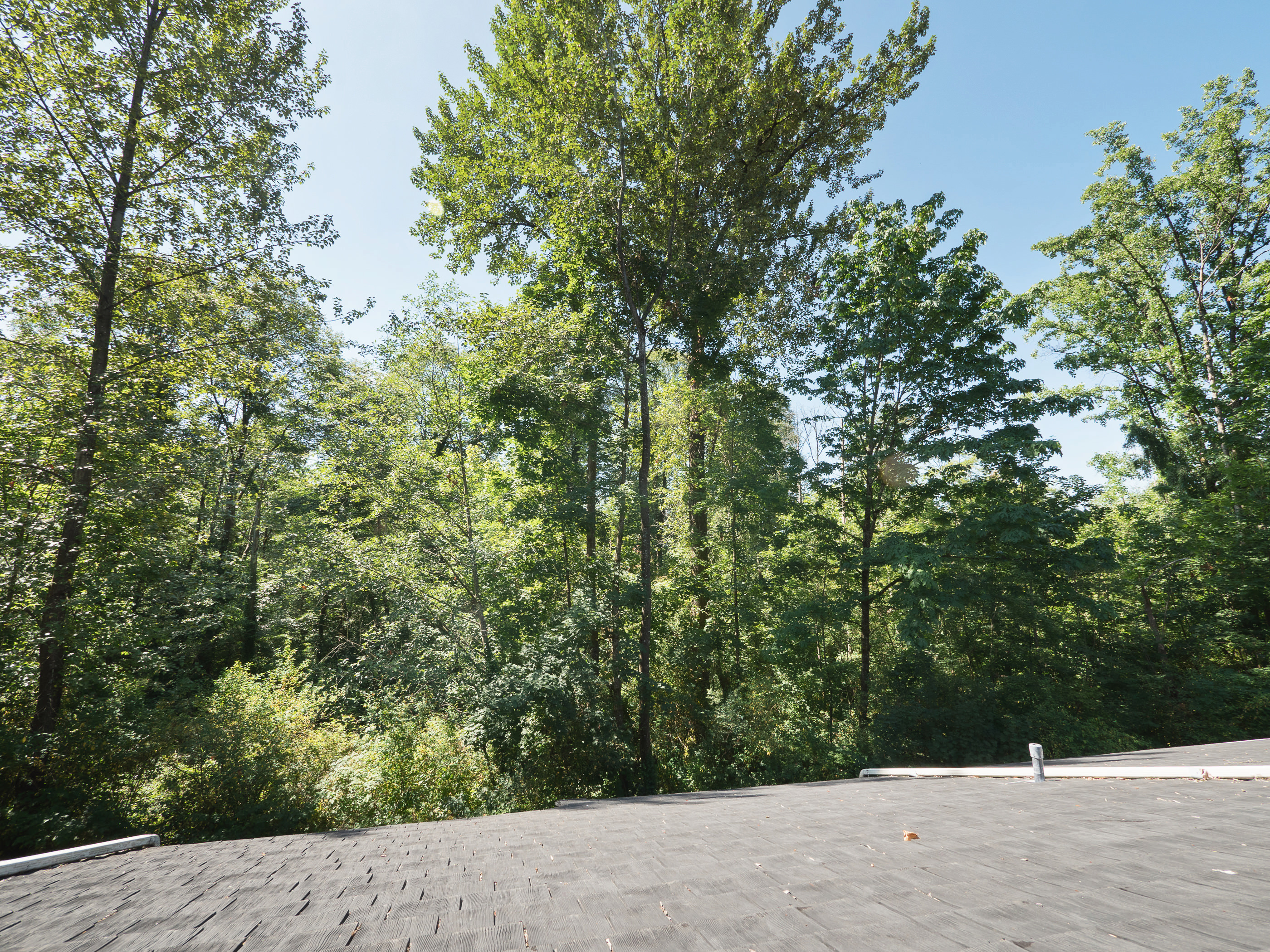 8240 Amberwood Place Burnaby 24