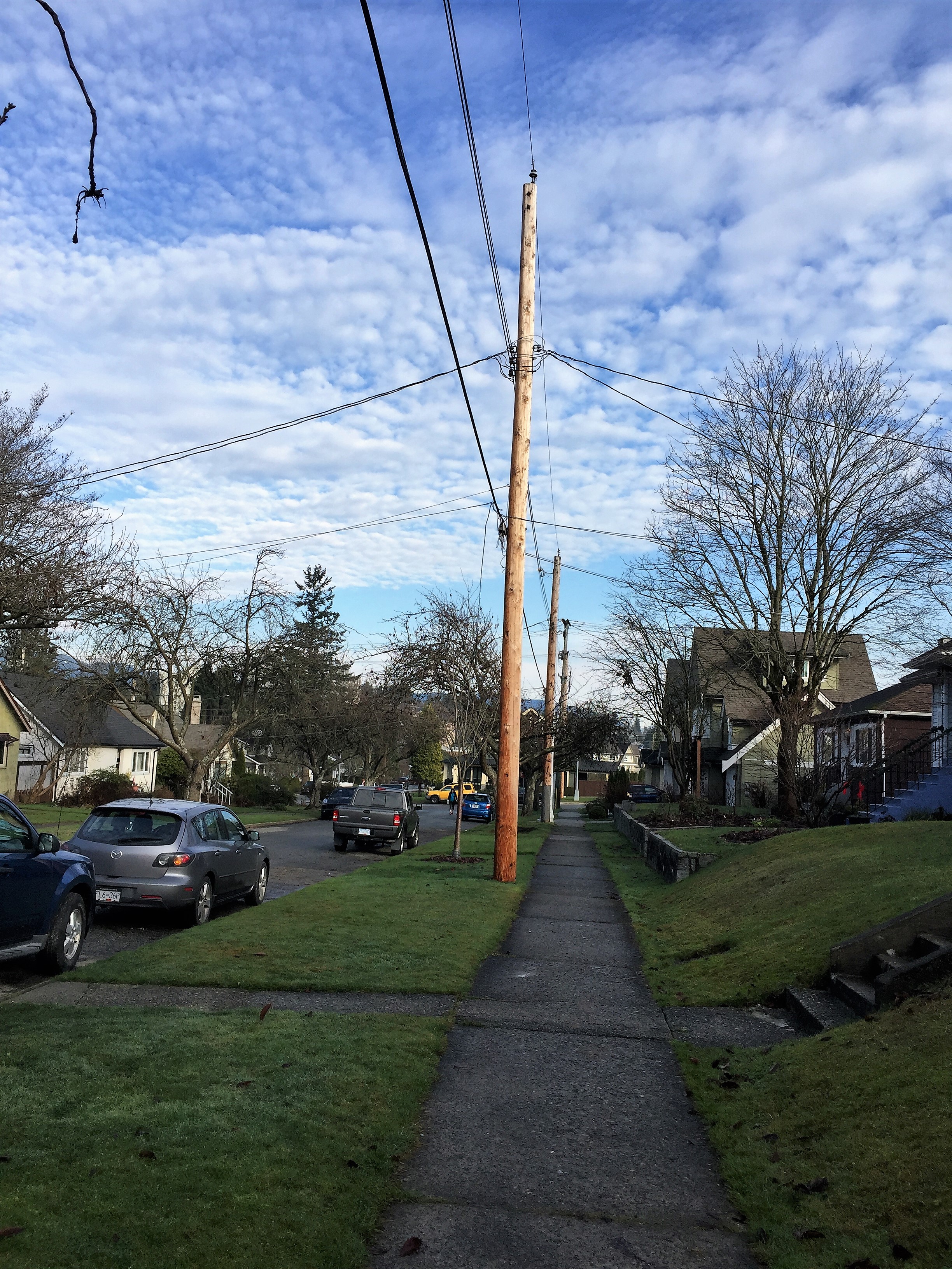 218 Osborne Ave, New Westminster 2
