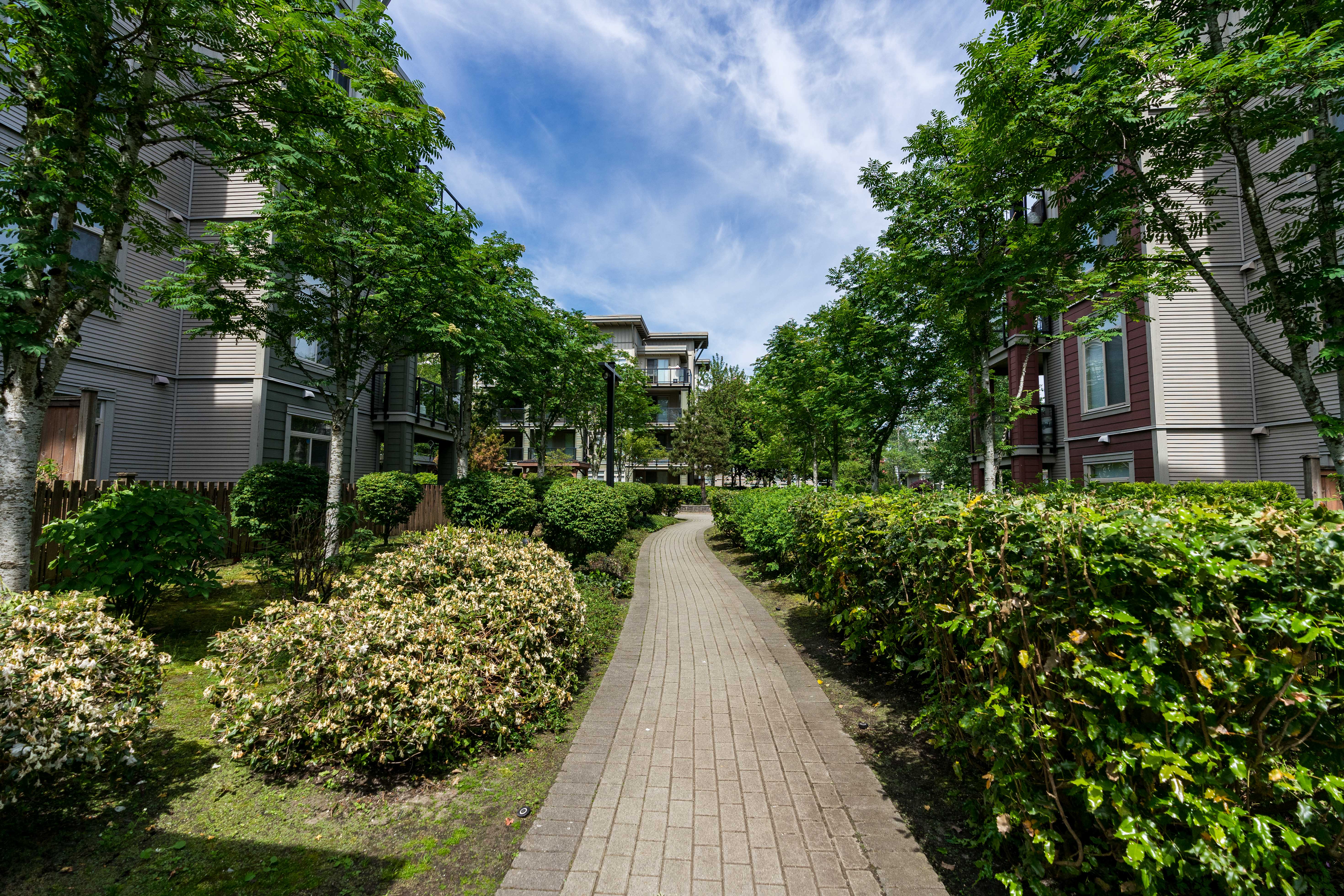 110-15385 101A Avenue, Surrey 24