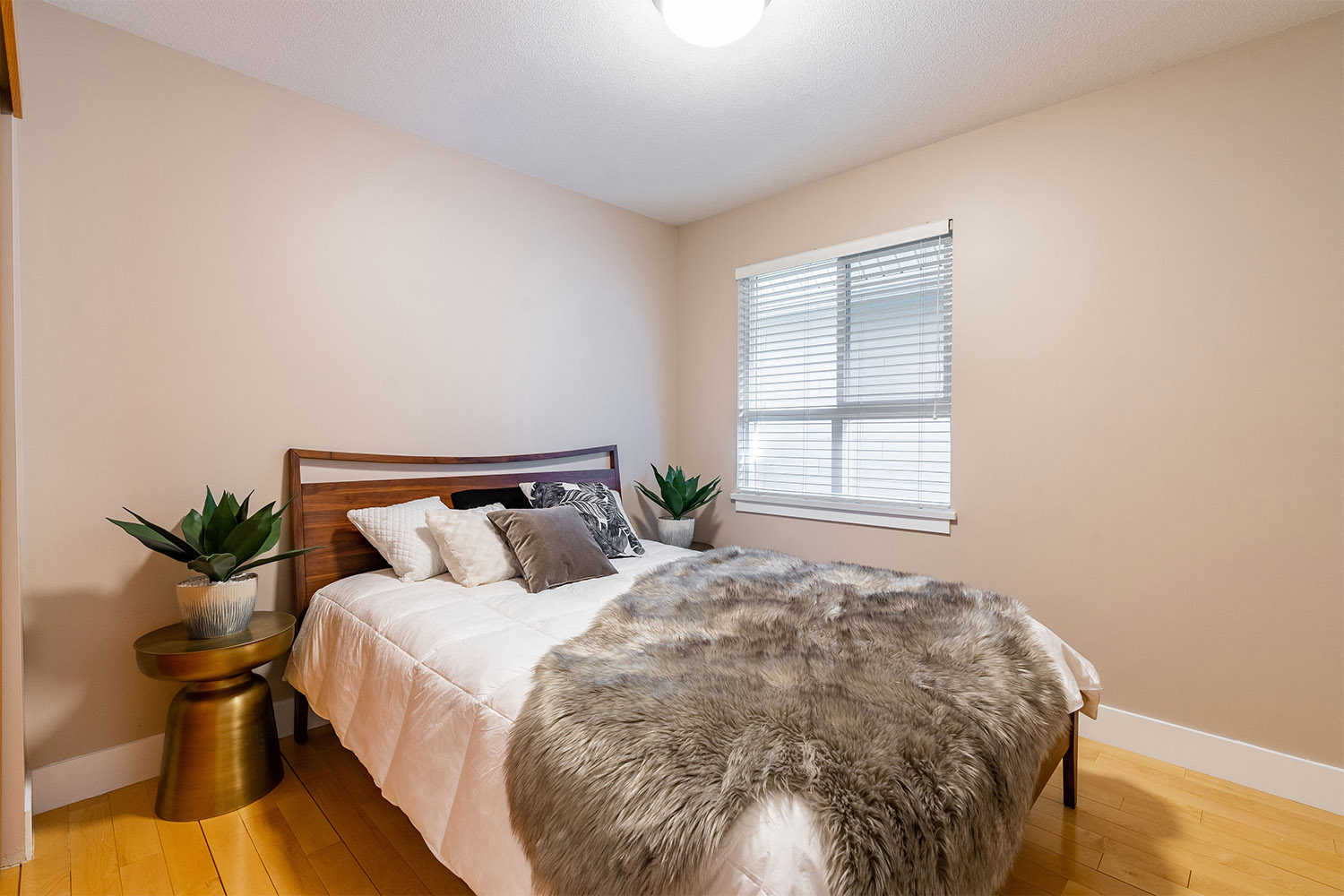238 Furness Street, New Westminster 8