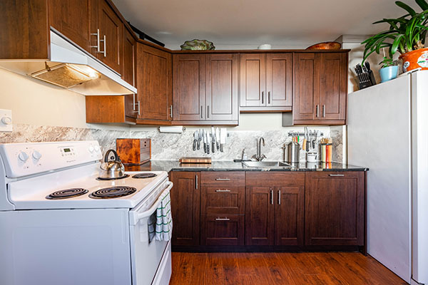 12471 113 Ave, Surrey 19