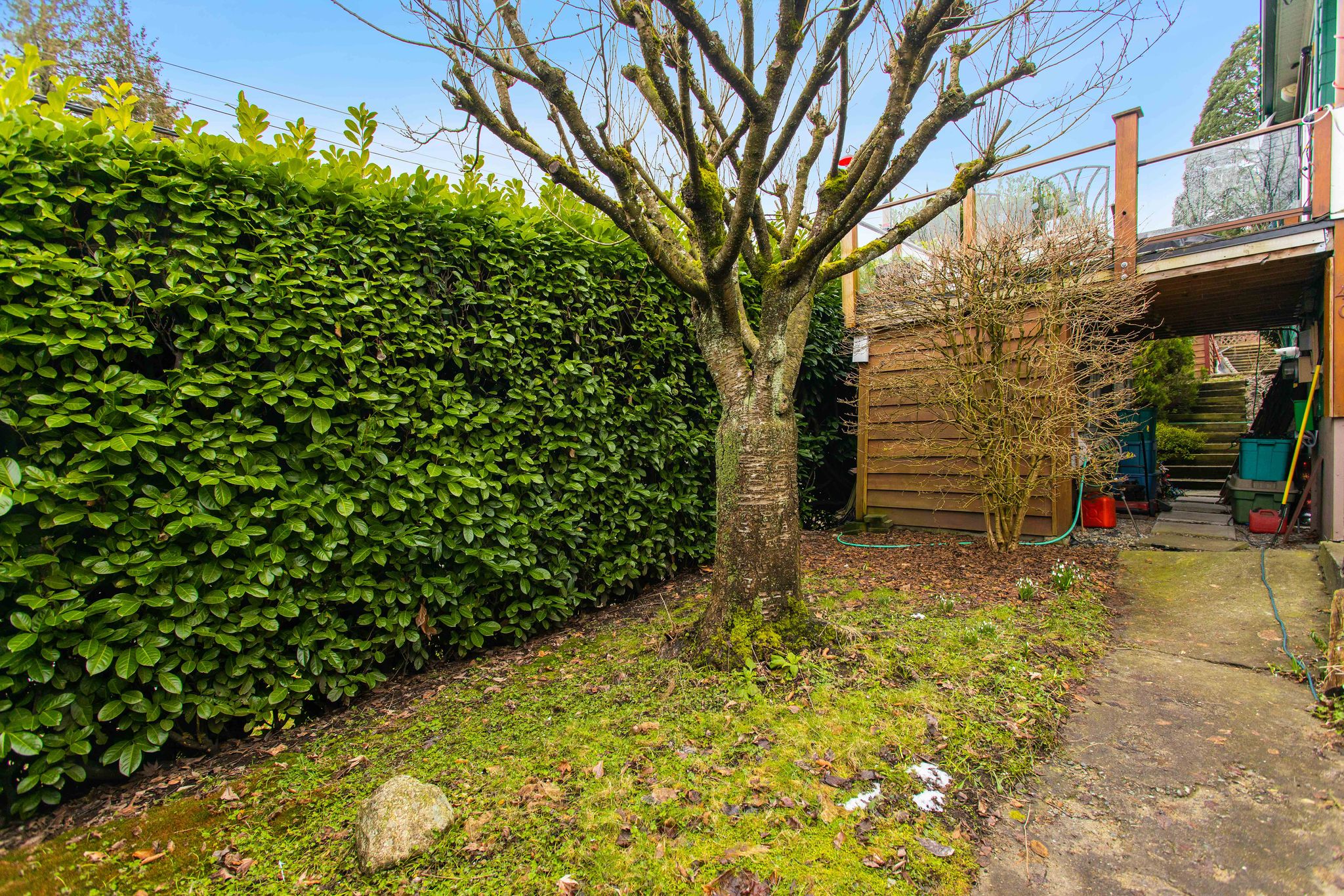 401 Garrett St, New Westminster 7