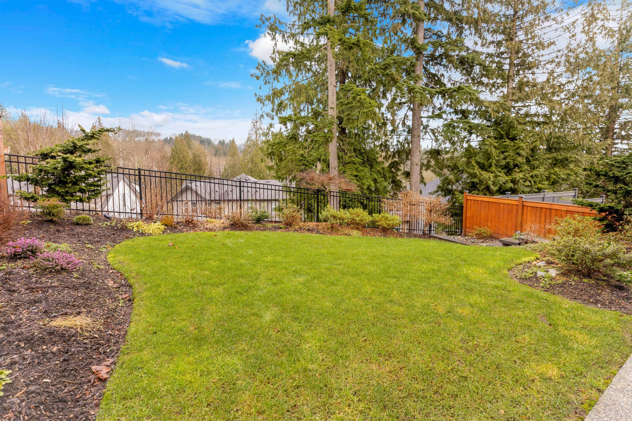 22818 Nelson Crt, Maple Ridge 3