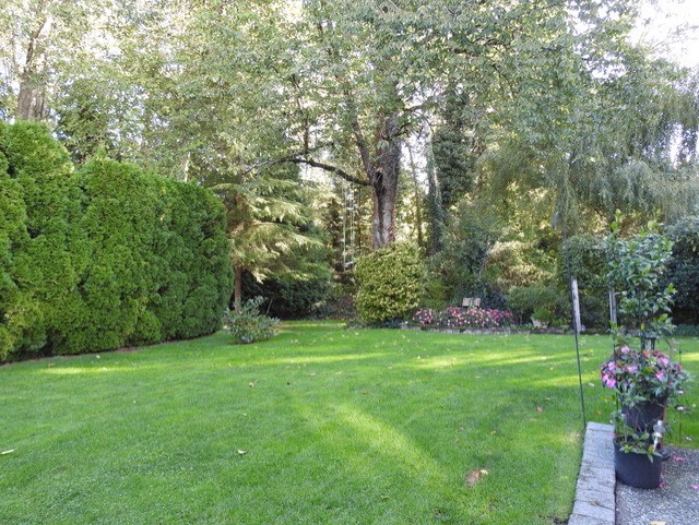 14315 86A Avenue, Surrey 30