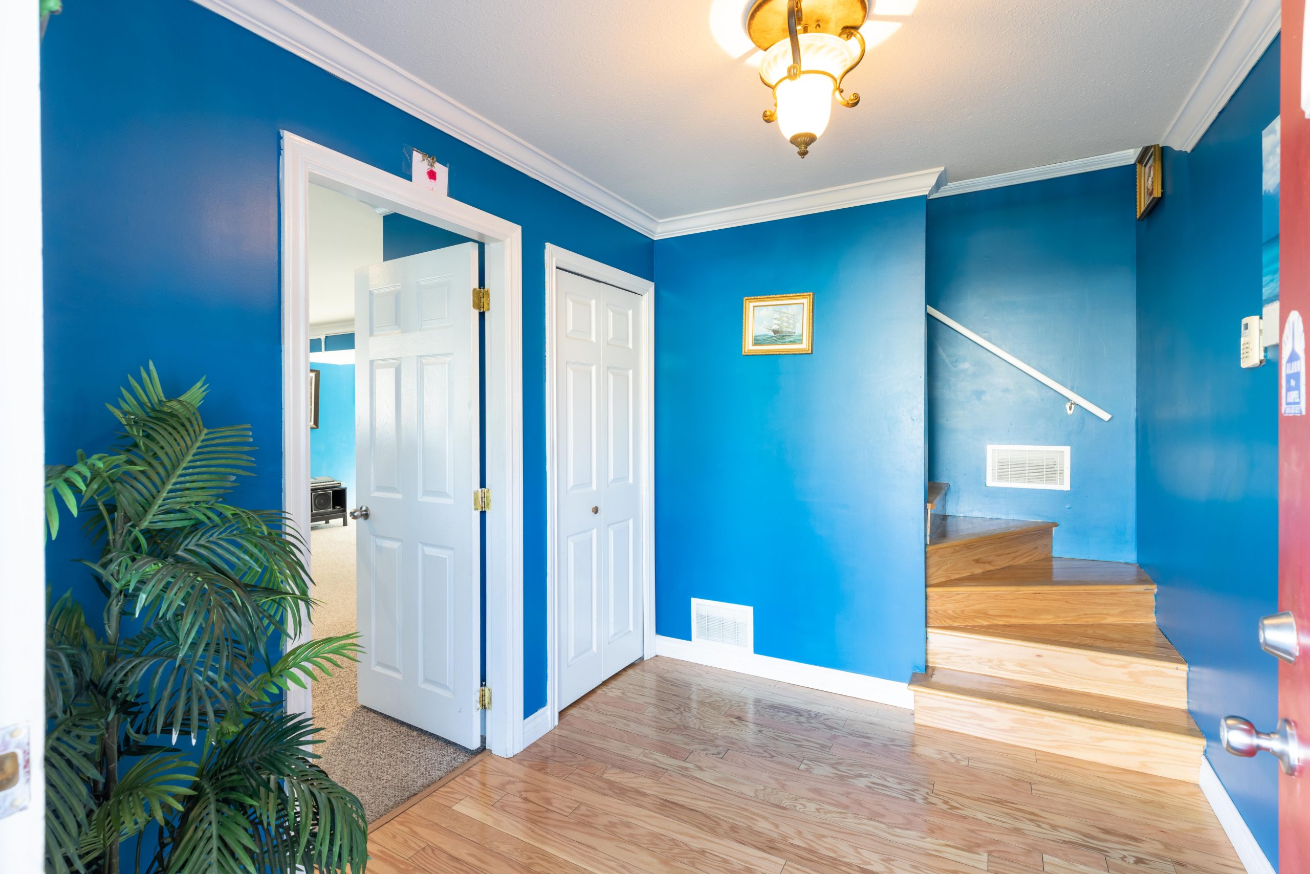21876 Laurie Avenue, Maple Ridge 5