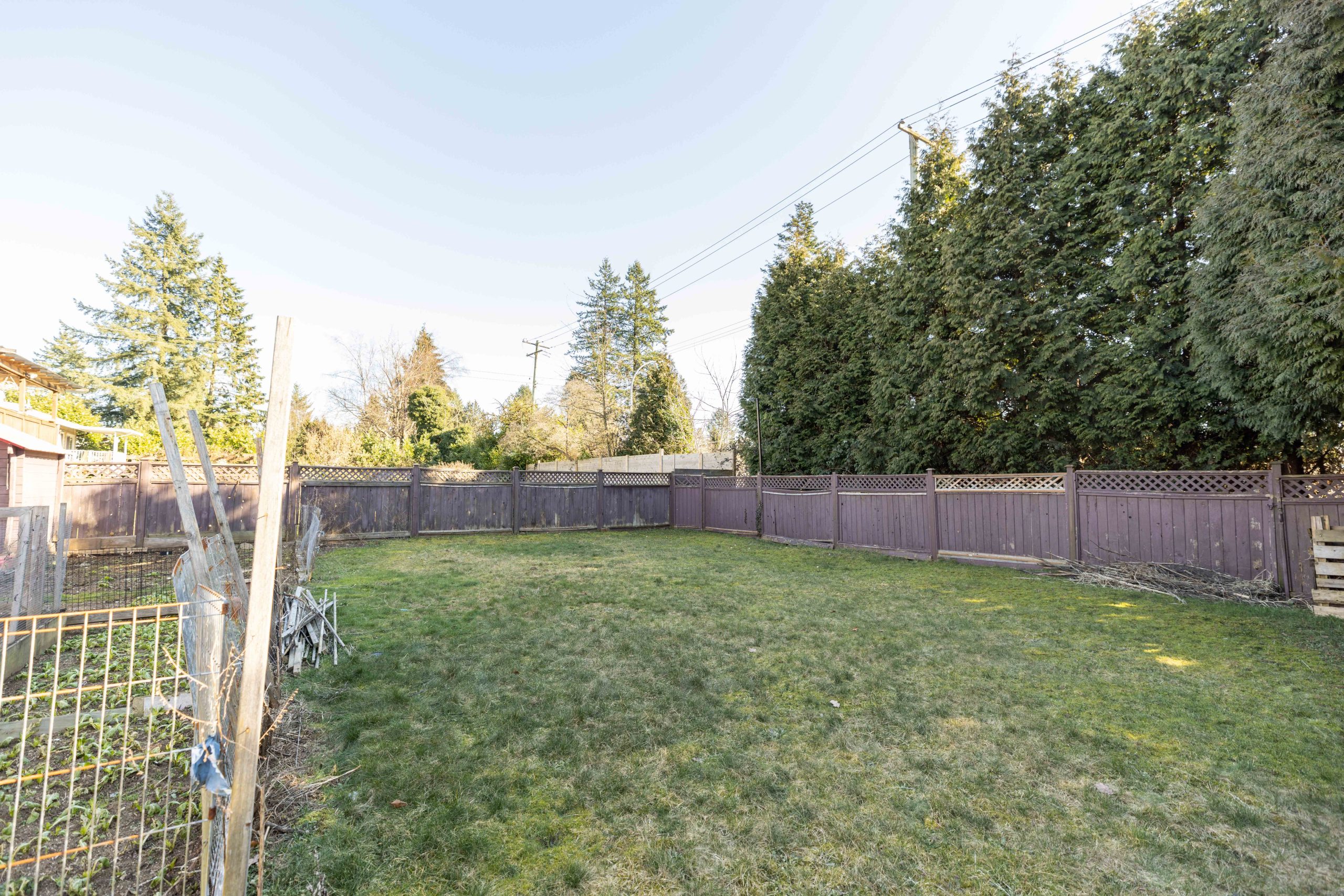 21876 Laurie Avenue, Maple Ridge 29
