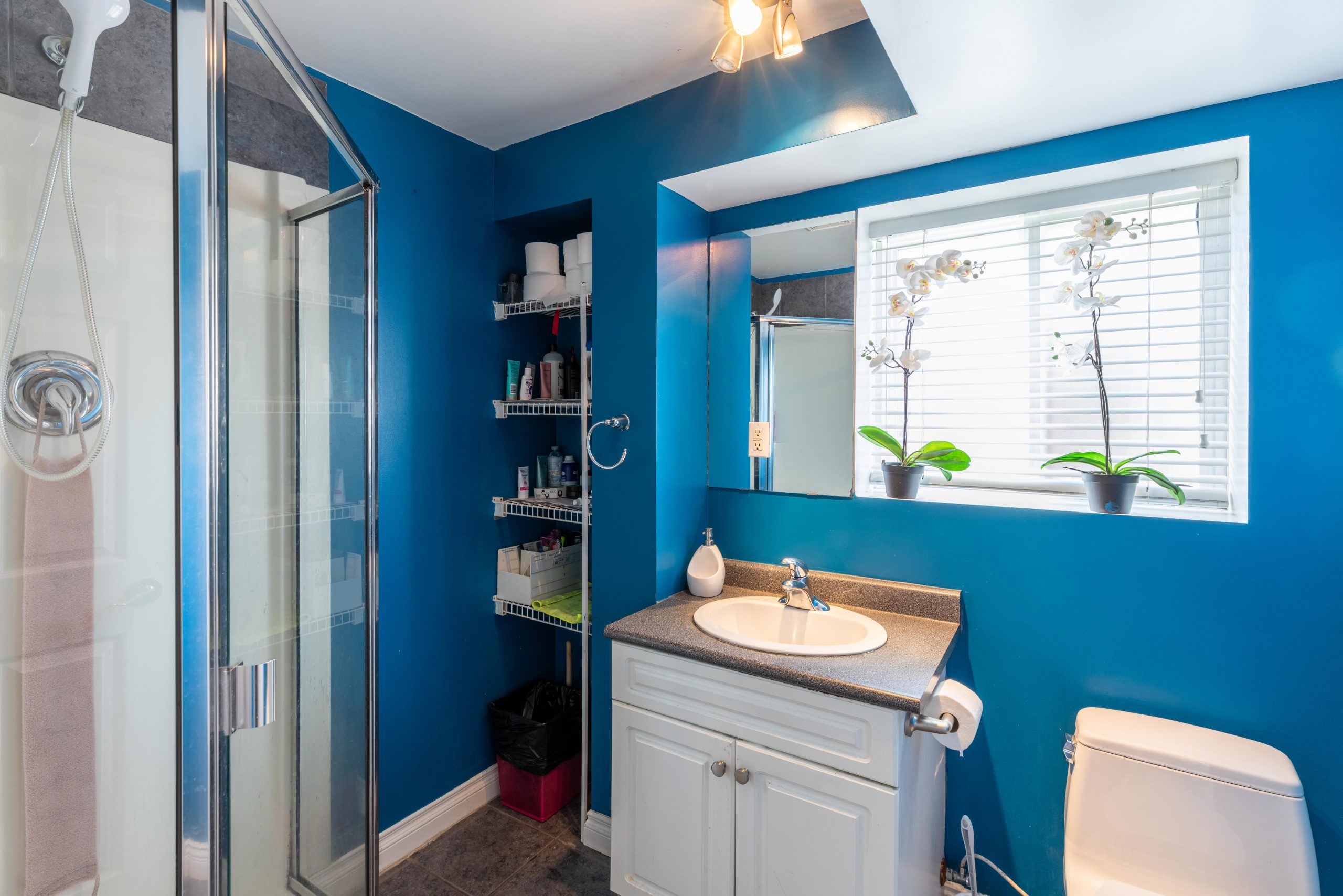 21876 Laurie Avenue, Maple Ridge 8