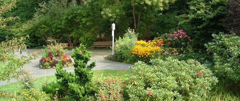 Glenbrooke North New Westminster residential neighbourhood with tree-lined streets