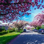 Spring Home Maintenance: 10 Things to Check This Season