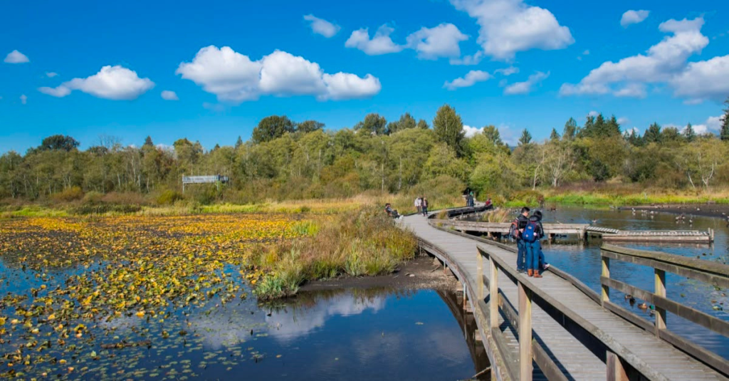 Neighbourhood Spotlight: Burnaby Lake – Nature Meets Convenience in Burnaby, BC