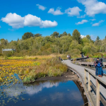 Neighbourhood Spotlight: Burnaby Lake – Nature Meets Convenience in Burnaby, BC