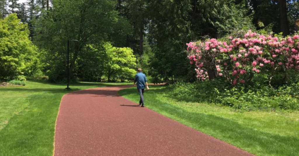 Walking trails in the Burnaby Lake Neighbourhood 