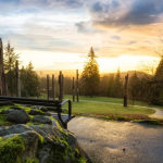 What We Sell in New Westminster, Burnaby & the Lower Mainland